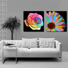 Gallery Color Wrap Canvas Prints