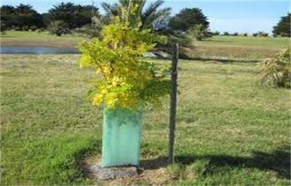 Light Green Corrugated Plastic Tree Guards UV Resistant For
