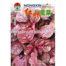 Chinese High Quality Red Leaf Amaranth Seed For Growing