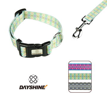 Puppy Led dog collar with dog collar luxury