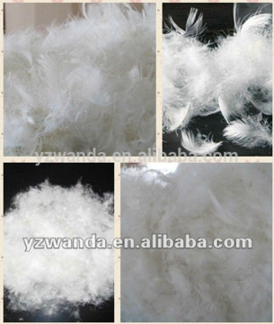 Fresh washed white duck eiderdown duck feather wholesale