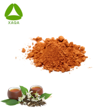 Serviço de OEM natural Jasmim Green Tea Extract Powder