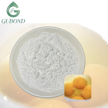 Lysozyme White Powder for Dietary Supplement Industry
