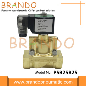 1 &#39;&#39; Valvola del solenoide a vapore da 25 bar 24 VDC 220VAC