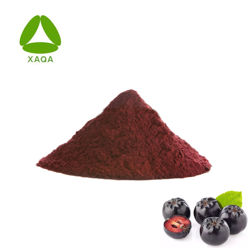 Superfood Freeze getrocknete Aronia Chockberry Frucht 99% Pulver