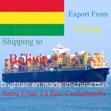 Servicio de logística Sea Freight Ocean Cargo Promotor de envío de China a Bolivia