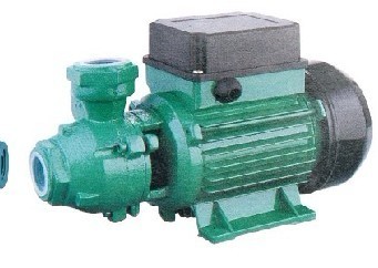 Domestic water pump
