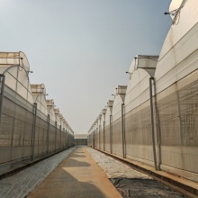 200Micron High Heat-insulating Agricultural Film