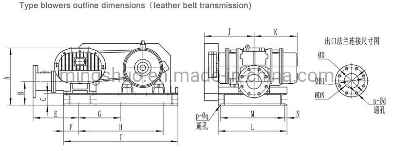 Biogas Blower for Biogas Project Before H2s Scavenger System