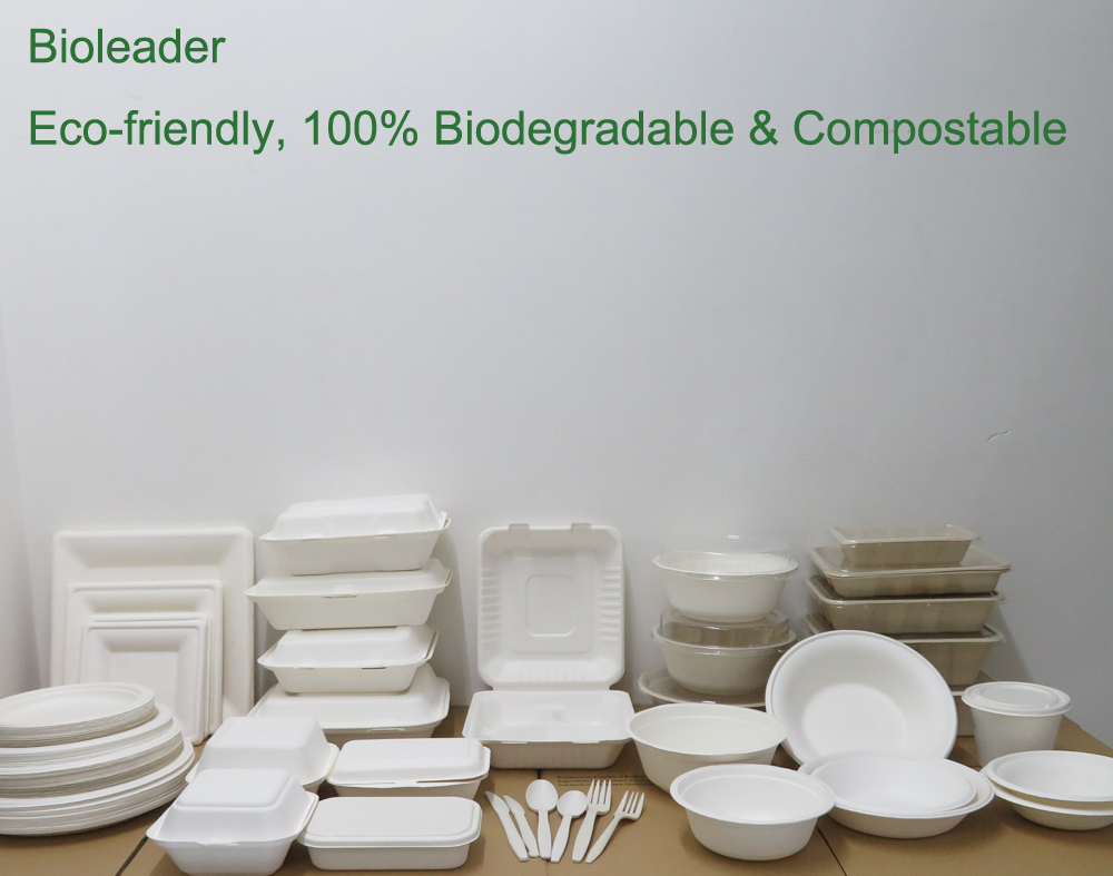 Wholesale 100% Biodegradable Sugar Cane Bagasse School Lunch Box