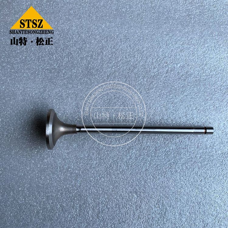 3803770 3 Jpg 3803770 3 Jpg