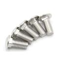 Stainless Steel Square-Head Bolt A2