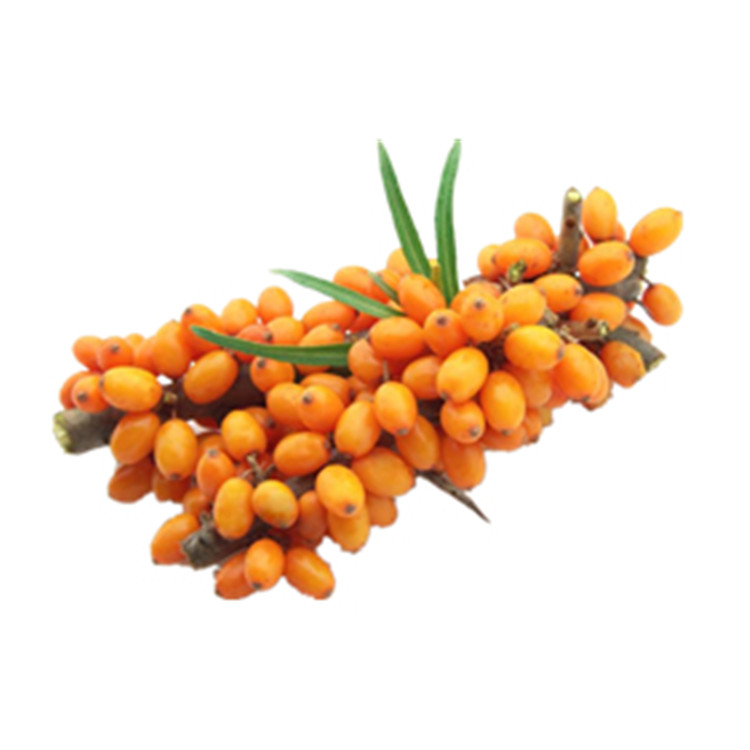Seabuckthorn Extract Powder Seabuckthorn Extract Powder