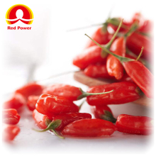 Red Power QIZITO el wolfberry chino organic wolfberry shanxi goji de wolfberry