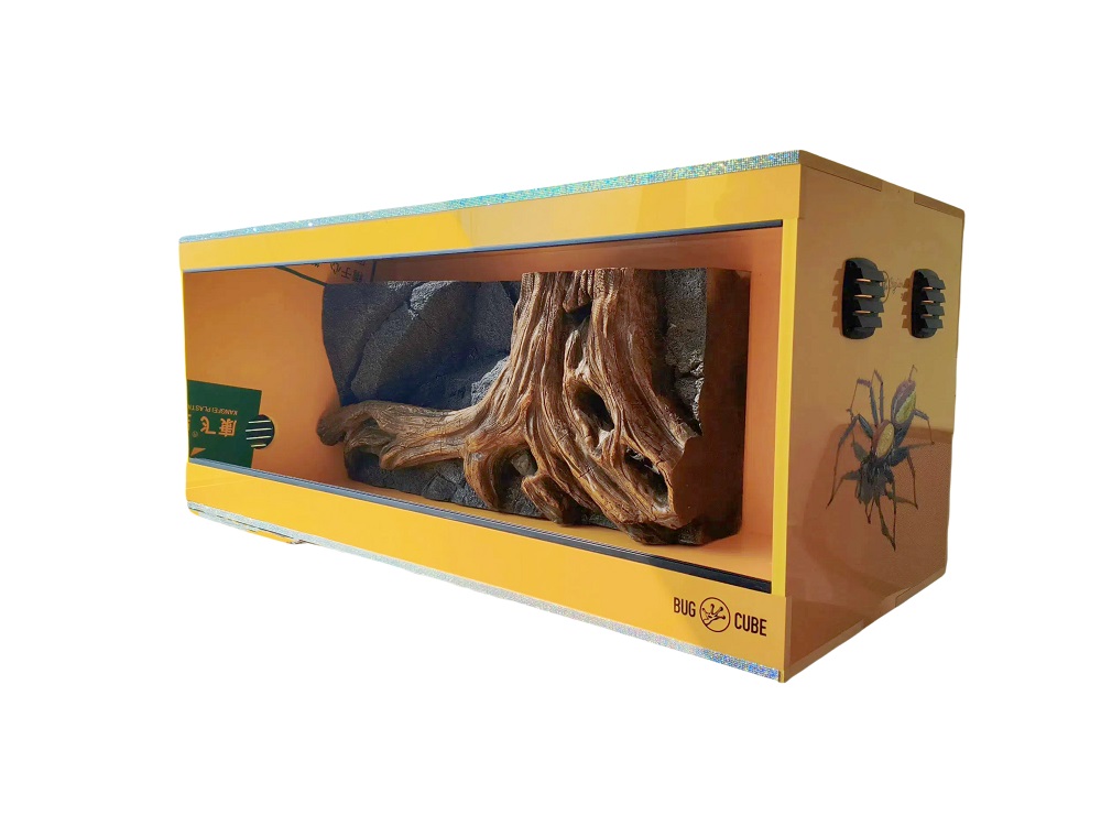 Nome padrão default name