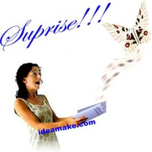 Butterfly Favor from CD,Greeting Cards,Invitation Letter,Flowers and More