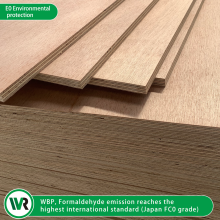 Premium Marine Plywood for Boat Construction