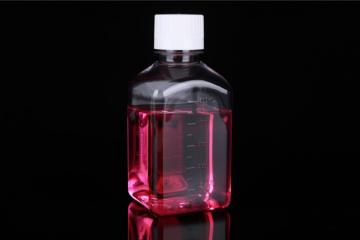 500mL PETG Square Storage Bottle