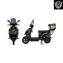 T15EBQ Eagle Series All-Terrain E-Bike