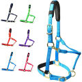 Horse Halter Adjustable With Cushioned Padding