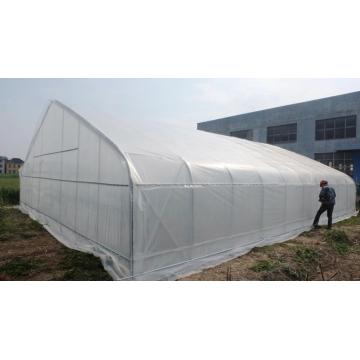 Agricultural Single Span Plastic Tunnel Greenhouse