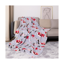 Shaoxing Factory: Custom Printed Milk Fleece Blankets for Winter