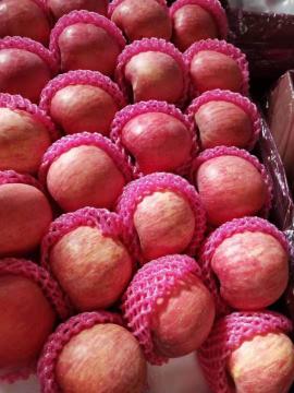 hot sell Fuji apple for Philippines market