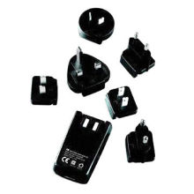 Power adapter with interchange plug