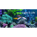 White/Bule/Green/Uv Full Spectrum LED Aquarium Light