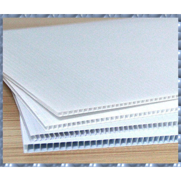 Polypropylene Fluted Sheet&Pp Corrugated Sheet