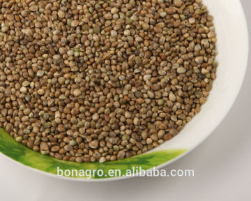 Chinese hemp seeds for birds food