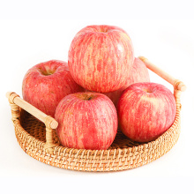 الحلو الطازج سعر المصنع الأحمر فوجي التفاح