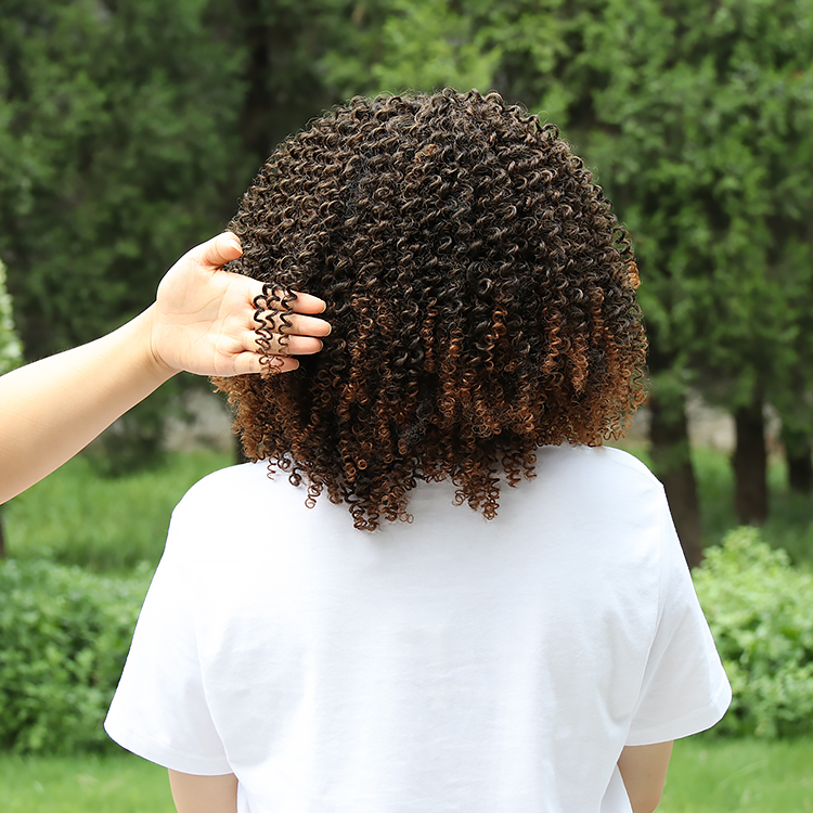Heat Resistance Wigs Curl With Highlights Short Premium Fiber Wholesale Heat Resistant Afro Curls Wigs Synthetic Hair Wig