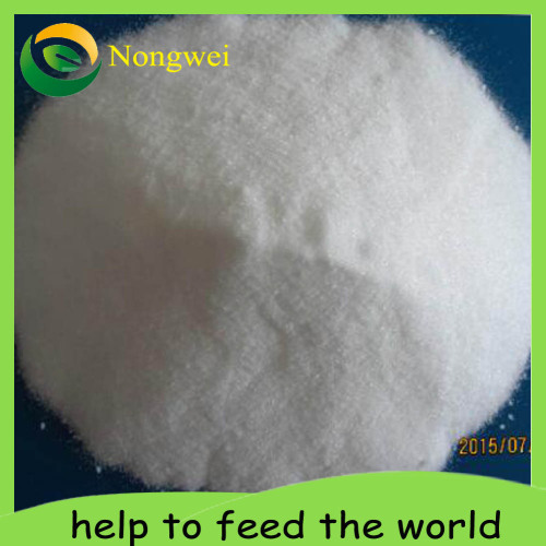 Potassium Nitrate Buy Online