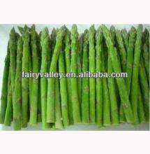 Chinese Best Quality Hybrid F1 Asparagus Seed For Cultivation