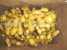 Chinese fresh ginger