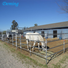 Best Selling Galvanized Horse Corral Fence