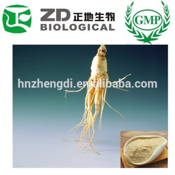 Food Supplement Siberian Ginseng Extract Ginseng Powder 50% Ginsenosides