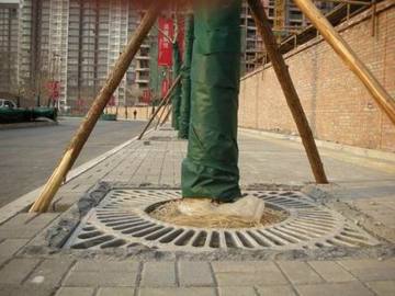 Composite Tree Grating