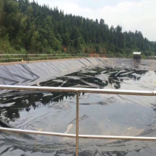 Plastic Geomembrane HDPE Geomembrane Material in 40mils