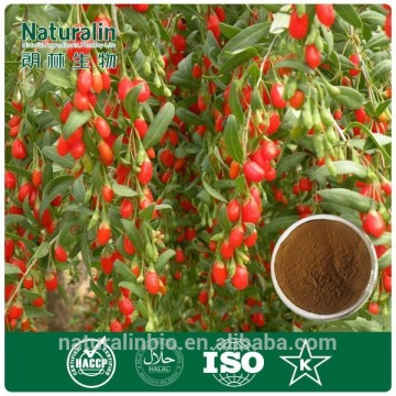 Free Sample Goji Berry Powder, Dried Goji Berry Extract, Chinese Wolfberry Extract