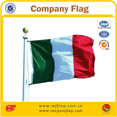 polyester fabric printed promotional outdoor wholesale American Flag Flying