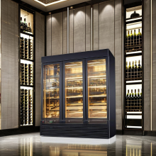 Dry Ager Meat Fridge: Stainless Steel Beef Dry Aging Refrigerator