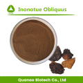 Extracto de hongo Chaga Inonotue Obliquus Polisacáridos 10%