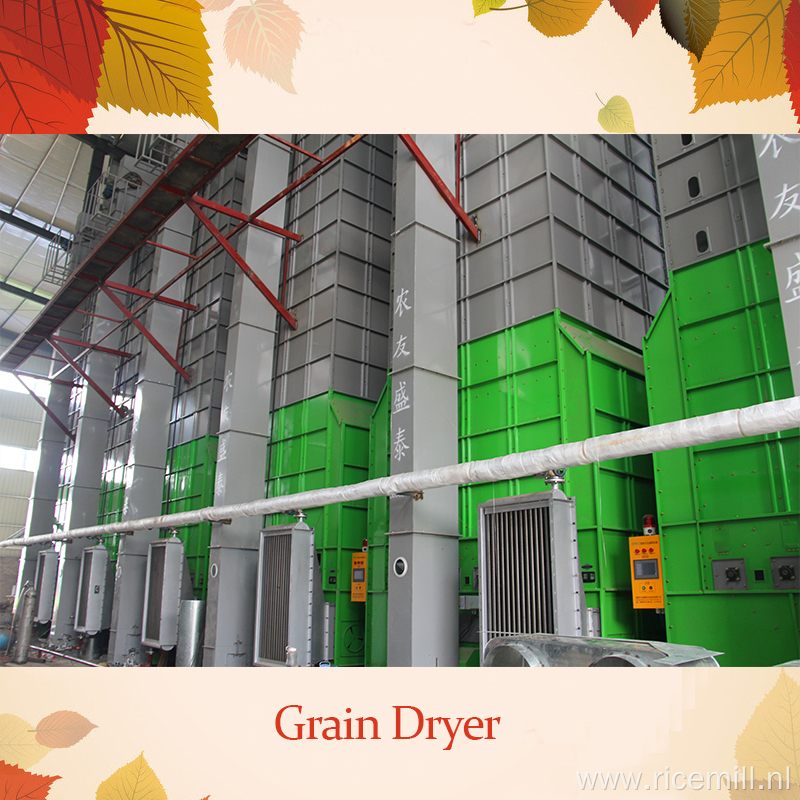 Customized Tower Rice Dryer Biomass Fuel 5HL-10