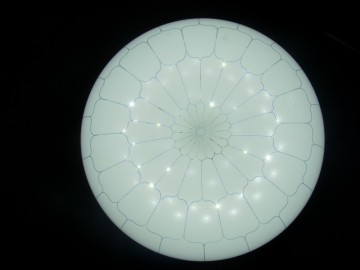 LED indoor decorative light