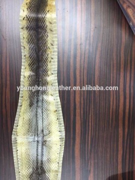 RAW WATER SNAKE SKIN LEATHER