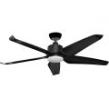 Flush mount ceiling fan with light