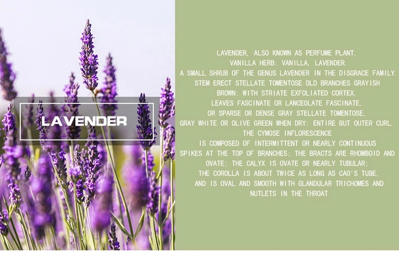 Nourishing Skin Private Label Lavender Essential Oil Pure Organic Plant Natural High Quality Anti-Aging Anti Wrinkle