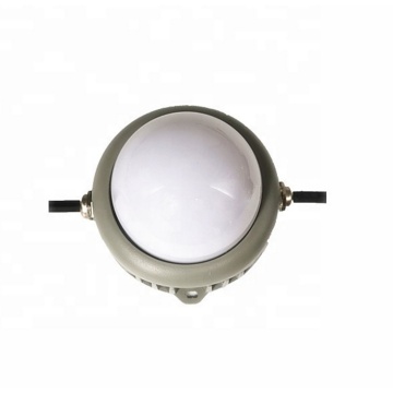 Energy efficient outdoor LED pixel lights